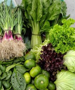 CAJÓN DE VERDURA:  verdeo x atado, acelga, lechuga, zapallito x 1kl y espinaca.
