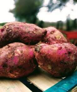 Batata común por 1k. Orgánica