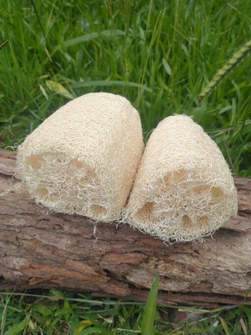 Esponja vegetal (Luffa) chica x 2u