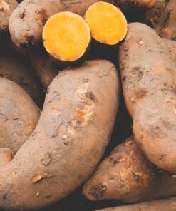 Batata Arapey por 1 kg Agroecológica.