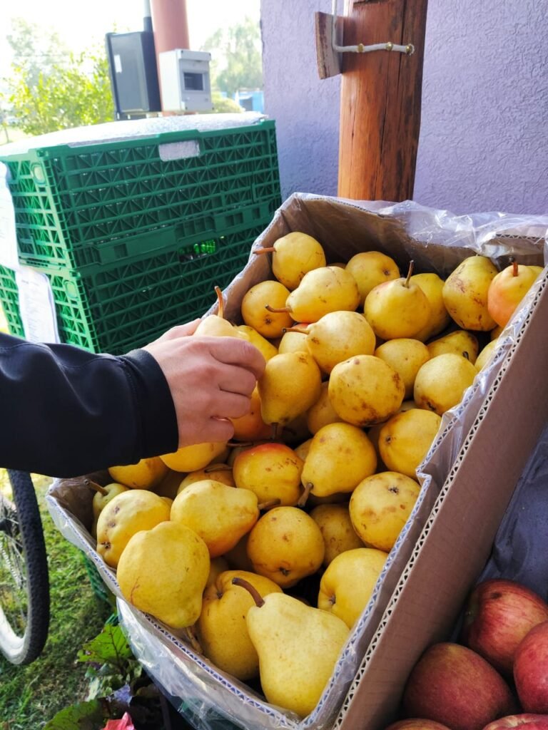 Amaranto