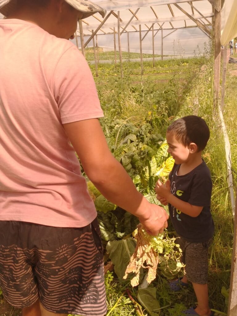Amaranto