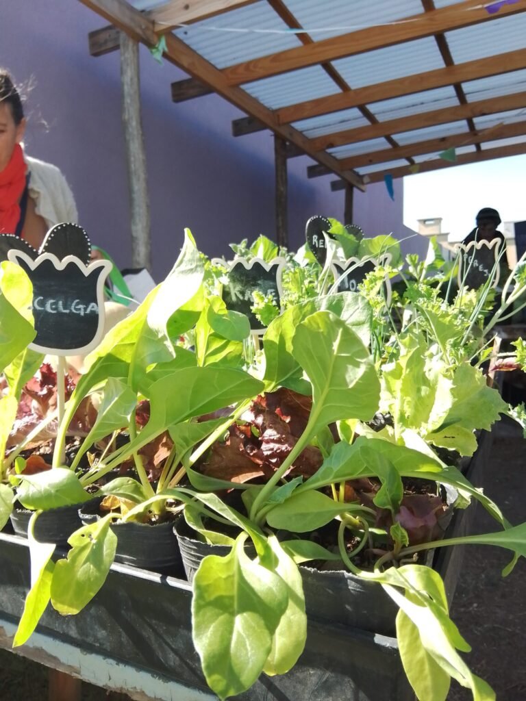 Amaranto