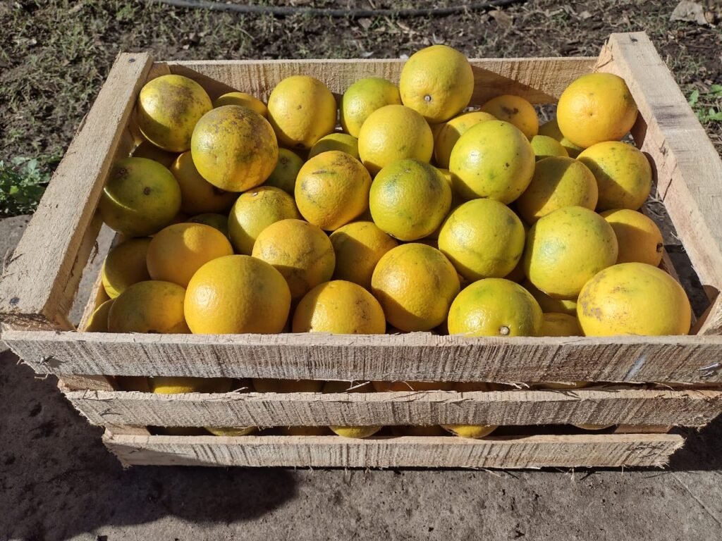 Amaranto