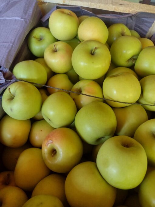 Manzana Golden Delicious por 1 k, Río Negro.