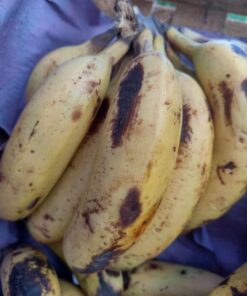 Banana Cavandill por 500 grs, Agroecológica Salta.