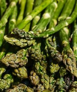 Esparragos agroecologicos x 250 grs.